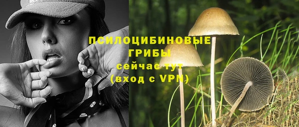 гидропоника Няндома