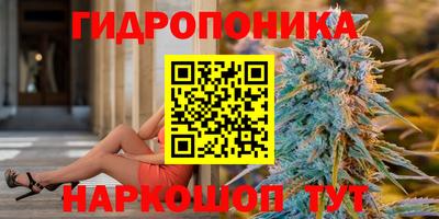 индика Кулебаки