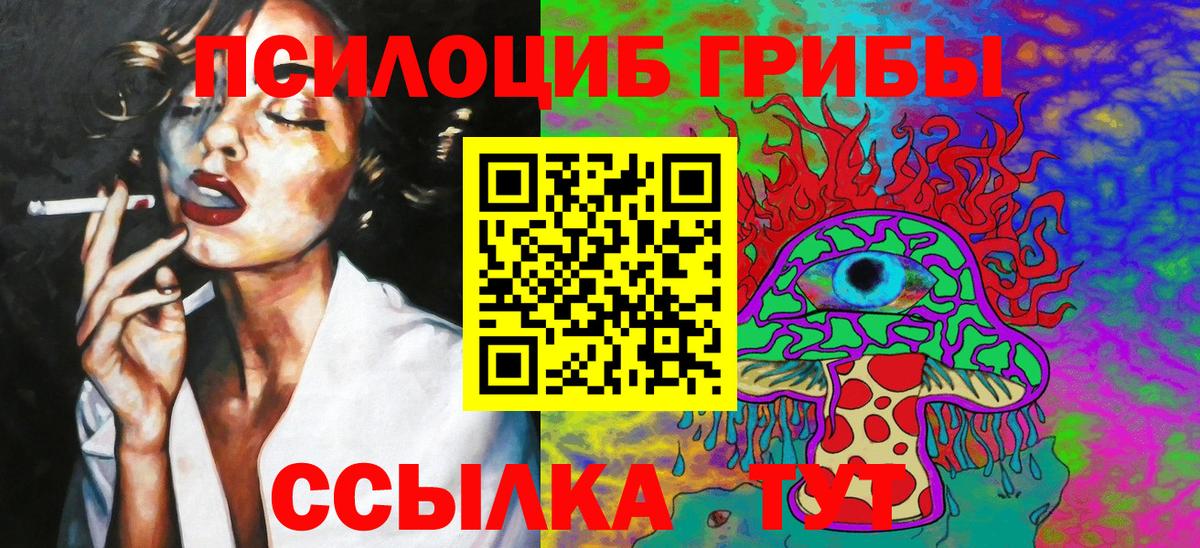 Псилоцибиновые грибы мицелий  Муравленко  Псилоцибиновые грибы мицелий 