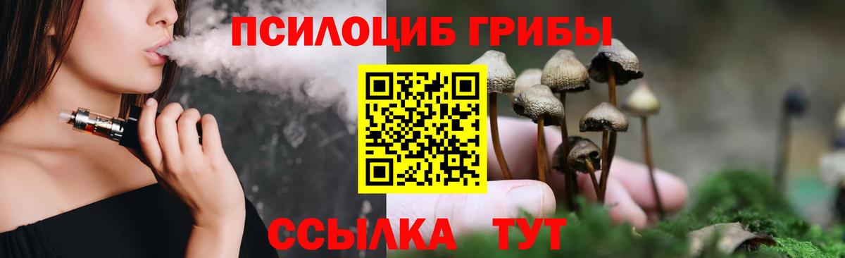 Псилоцибиновые грибы Cubensis  Псилоцибиновые грибы Psilocybine cubensis  Муравленко  Вход с VPN 
